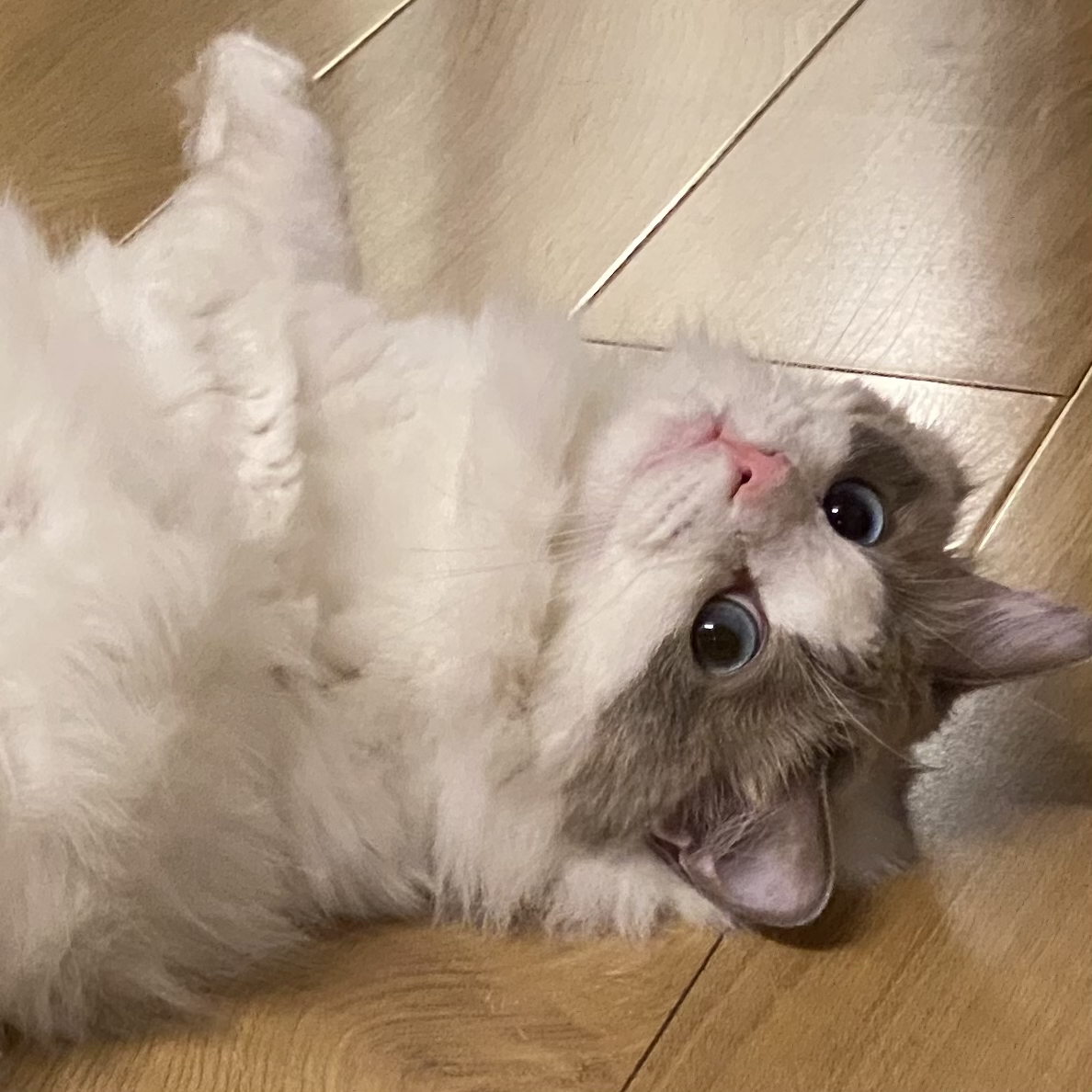 > cat frozenme.htm
